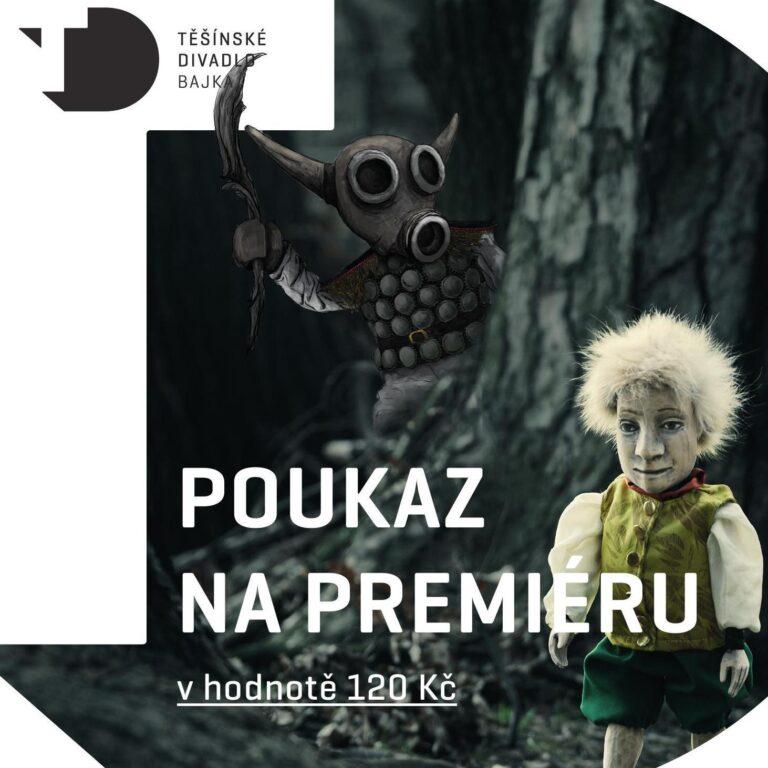 poukaz-13630