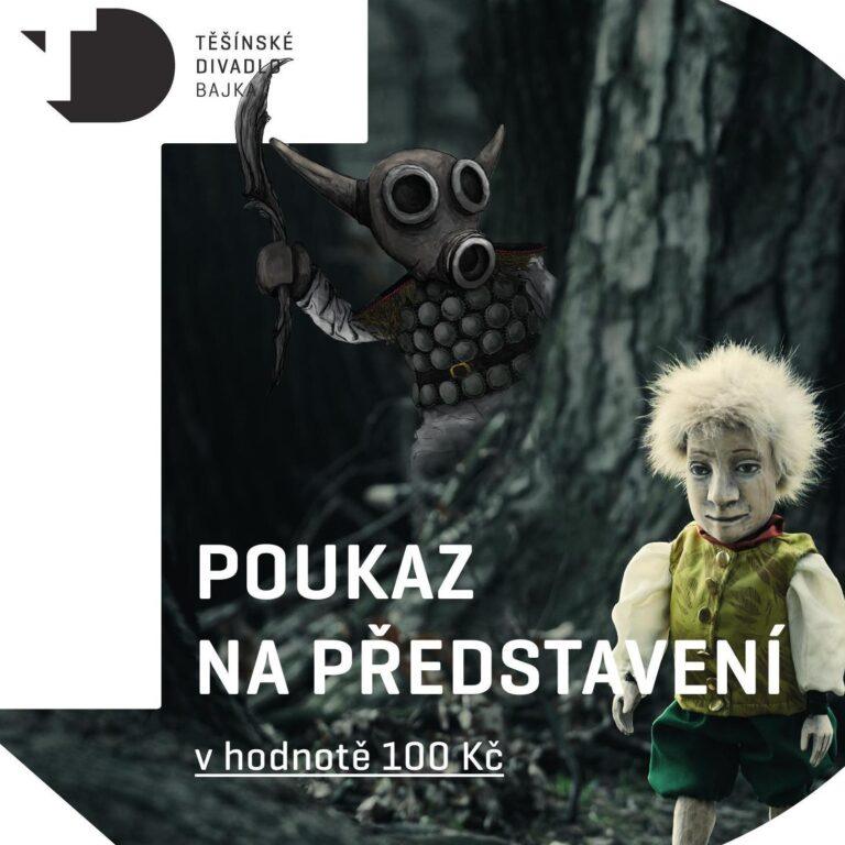 poukaz-13631 (1)