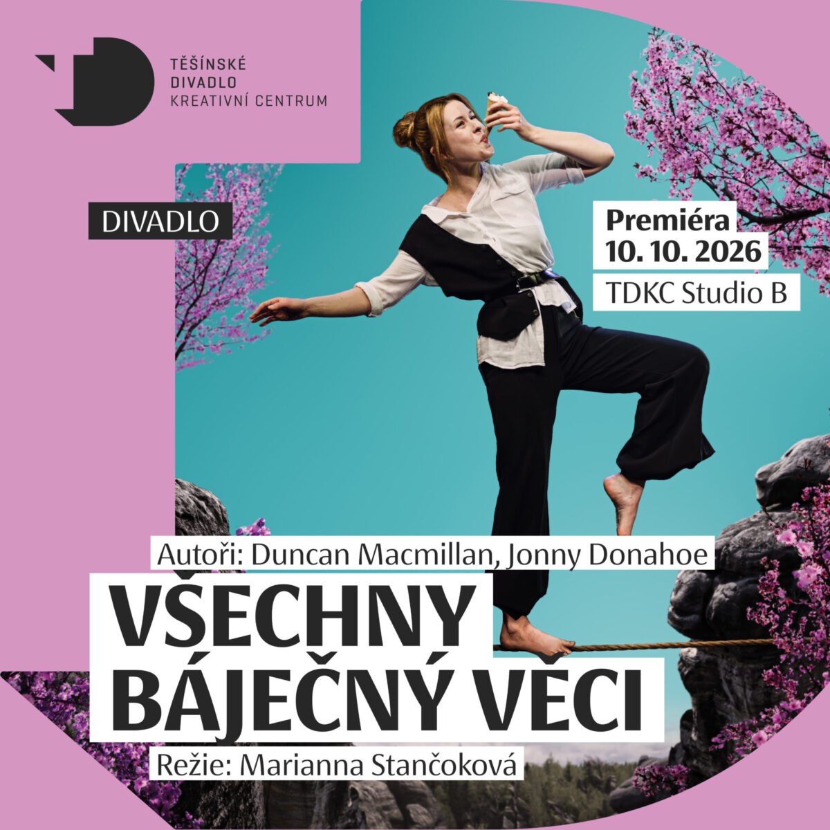 TDKC_vsechny bajecne veci_miniatura_web